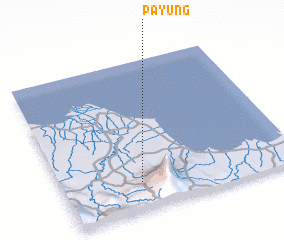 3d view of Payung