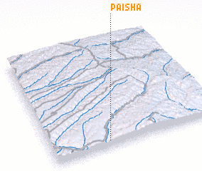 3d view of Paisha