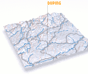 3d view of Duping