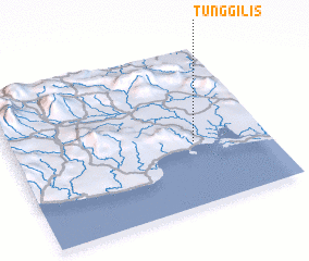 3d view of Tunggilis