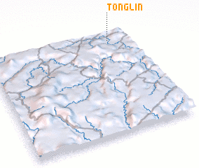 3d view of Tonglin