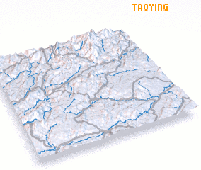 3d view of Taoying