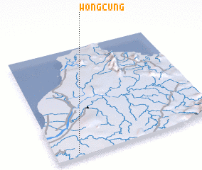 3d view of Wong Cung