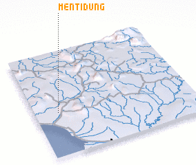 3d view of Mentidung