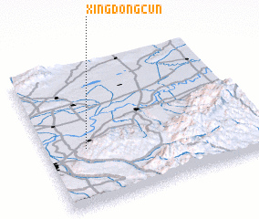 3d view of Xingdongcun