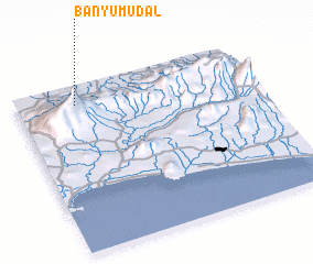 3d view of Banyumudal