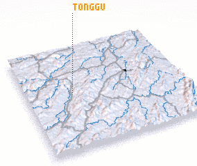 3d view of Tonggu