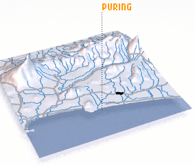 3d view of Puring