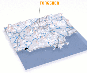 3d view of Tongshen