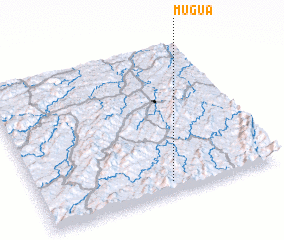 3d view of Mugua
