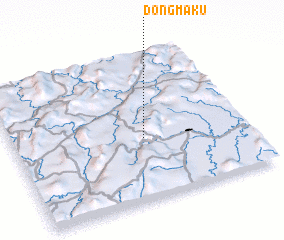 3d view of Dongmaku