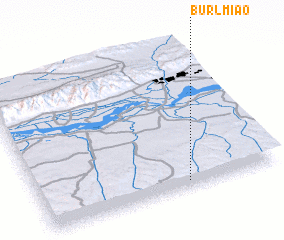 3d view of Burl Miao