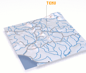 3d view of Temu