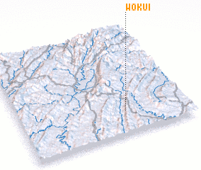 3d view of Wokui