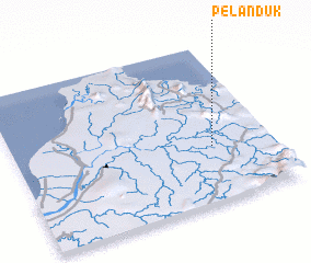 3d view of Pelanduk