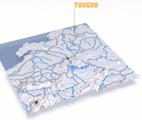 3d view of Touguo