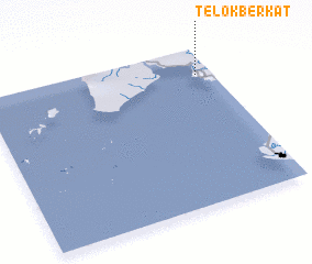 3d view of Telokberkat