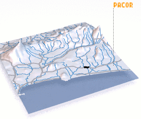 3d view of Pacor