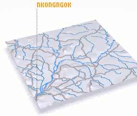 3d view of Nkongngok