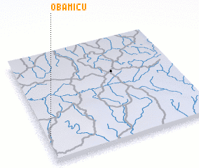 3d view of Obamicu