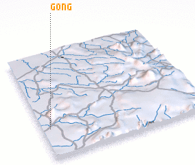 3d view of Gong