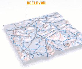 3d view of Ngel Nyaki