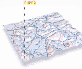 3d view of Burba