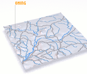 3d view of Oming