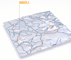 3d view of Wakili