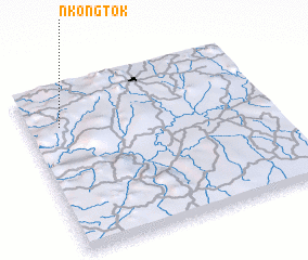 3d view of Nkongtok