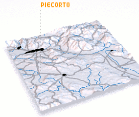 3d view of Piecorto