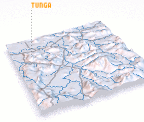 3d view of Tunga