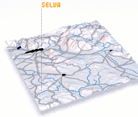 3d view of Selva