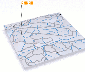 3d view of Amwam