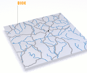 3d view of Biok