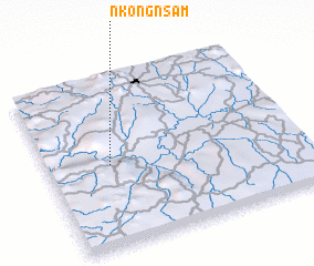 3d view of Nkongnsam