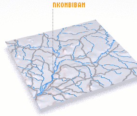 3d view of Nkombibam