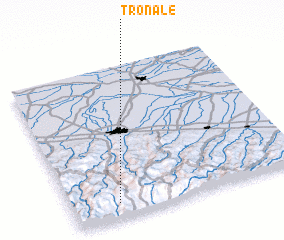 3d view of Tronale