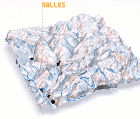 3d view of Nalles