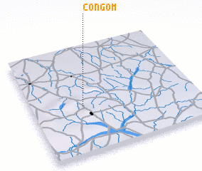 3d view of Congom