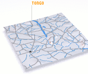 3d view of Tongo