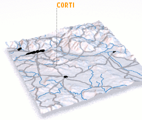 3d view of Corti