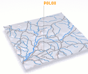 3d view of Polo II