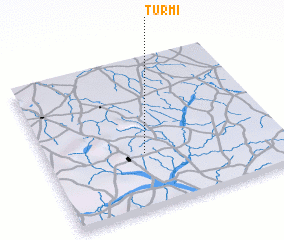 3d view of Turmi