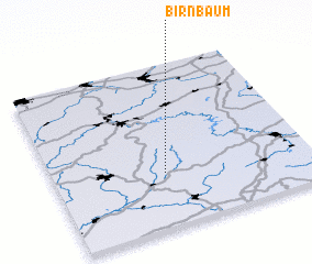 3d view of Birnbaum