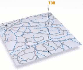 3d view of Tok