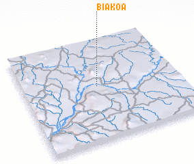 3d view of Biakoa