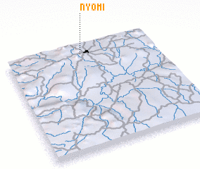 3d view of Nyom I