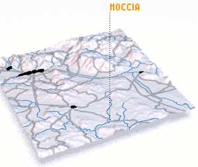 3d view of Moccia