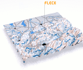 3d view of Fleck
